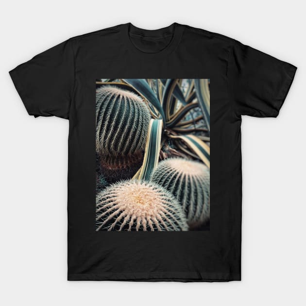 Desert Vibes T-Shirt by oliviastclaire